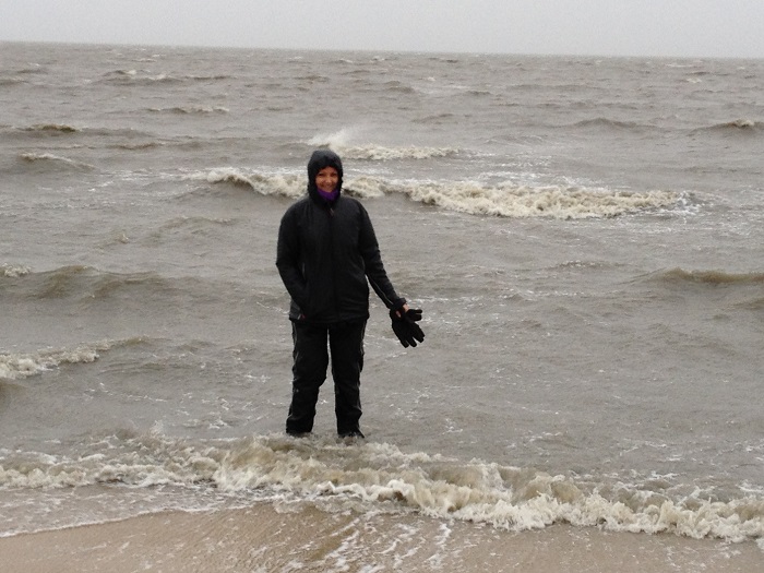 Sandy in der Nordsee